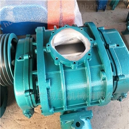 水產(chǎn)養(yǎng)殖羅茨增氧機 羅茨風(fēng)機