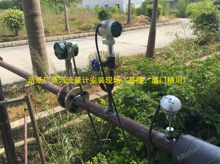 造紙廠(chǎng)蒸汽流量計(jì)